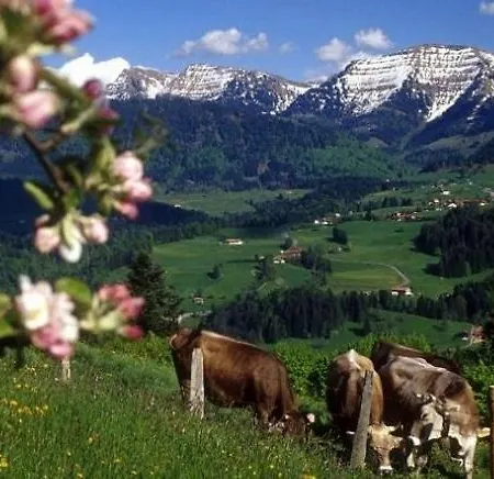 公寓 Fewo Aich, Oberstaufen/steibis 上施陶芬